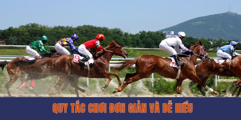 Đua Ngựa EE88 - Bộ Môn Giải Trí Mới Lạ Và Nhiều Hấp Dẫn Quy tắc chơi đơn giản và dễ hiểu