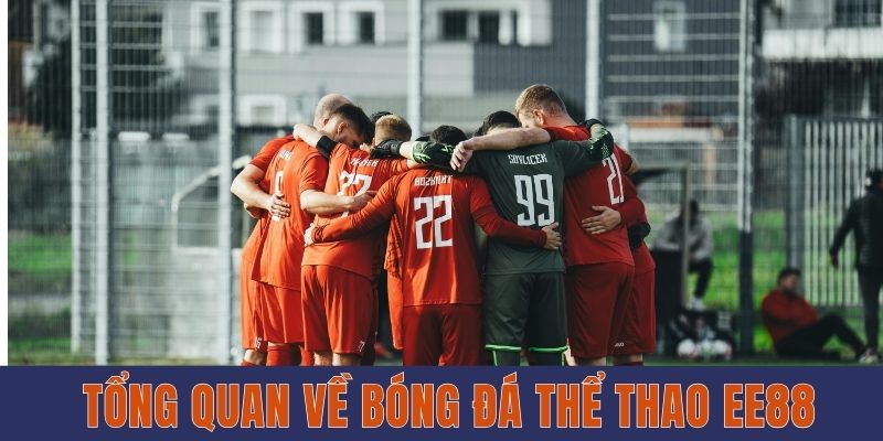 Bóng Đá Thể Thao EE88 - Môn Giải Trí Phổ Biến Nhất 2025 Tổng quan về bóng đá thể thao EE88