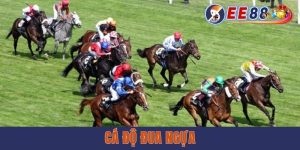 Cá Độ Đua Ngựa - Bộ Môn Cá Cược Kịch Tính, Thưởng Hấp Dẫn tại ee88
