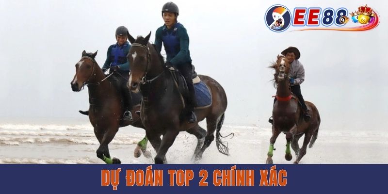 Cá Độ Đua Ngựa - Bộ Môn Cá Cược Kịch Tính, Thưởng Hấp Dẫn Dự đoán top 2 chính xác