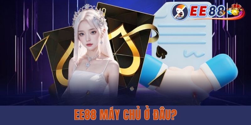 EE88 Máy Chủ Ở Đâu? Tiết Lộ Thông Tin Địa Lý Nhà Điều Hành EE88 Máy Chủ Ở Đâu? Tiết Lộ Thông Tin Địa Lý Nhà Điều Hành