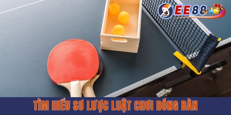 Toàn Tập Luật Chơi Bóng Bàn Chuẩn Chỉ A-Z Cho Newbie Tìm hiểu sơ lược luật chơi bóng bàn