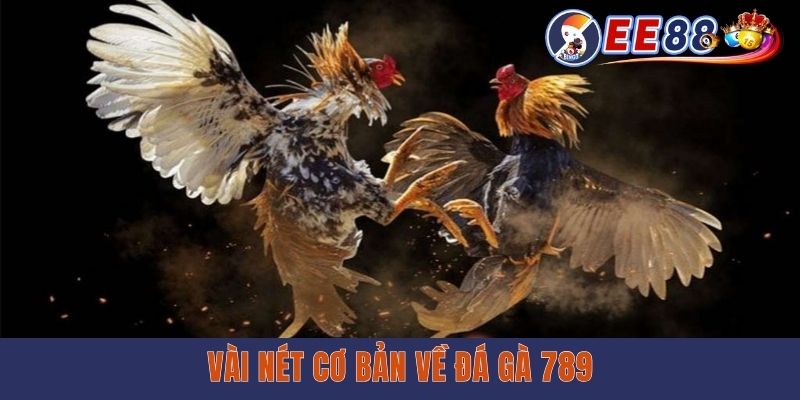 Đá Gà 789 - Mãn Nhãn Với Những Màn Chọi Kê Nảy Lửa Vài nét cơ bản về đá gà 789
